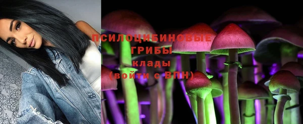 гидропоника Абаза