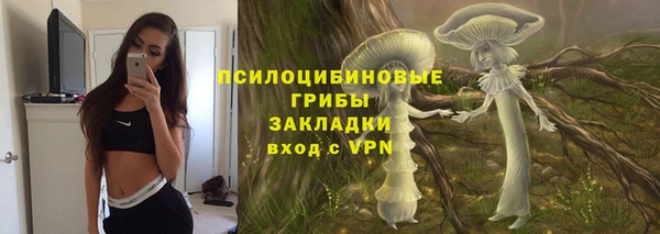 гидропоника Абаза