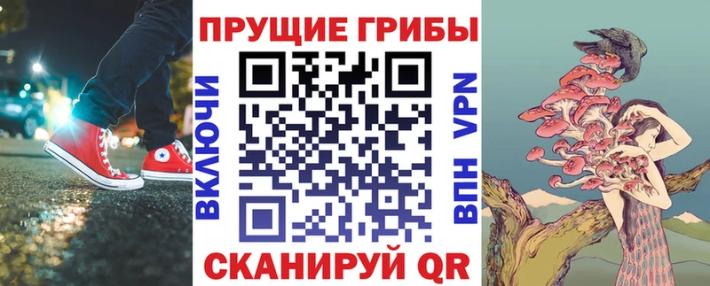 Псилоцибиновые грибы Magic Shrooms  мега рабочий сайт  Шарья 